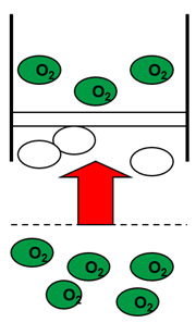 Vereinfachte Darstellung der Anströmung eines galvanischen Sauerstoffsensors