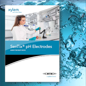 Calibration and adjustment of a pH electrode