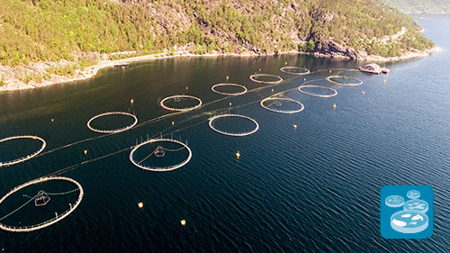 Aquaculture