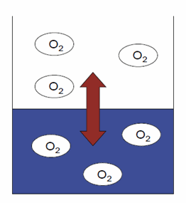 Schematische Darstellung des Sauerstoffpartialdrucks